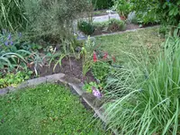 IMG_5680.webp
