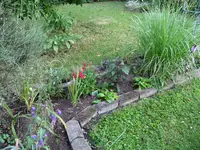 IMG_5679.webp