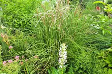 DSCF9745 (2).webp
