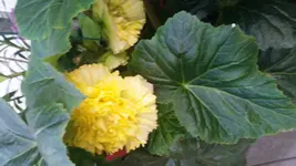 20170802_200902.webp