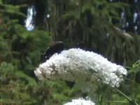 BILD7847.webp