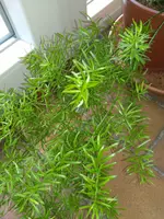 IMG_20170806_113832.webp