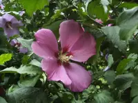 BILD7887.webp