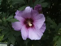 BILD7911.webp