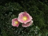 BILD7897.webp