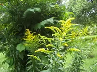 BILD7898.webp
