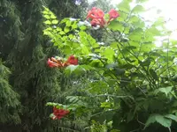 BILD7900.webp