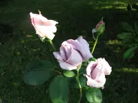 IMG_5689.webp