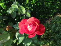 IMG_5687.webp