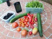 20170806_111419.webp