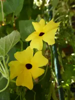 P1060703Susanne.webp