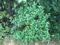 IMG_3012.webp IMG_3012.webp