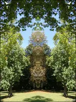 F028.webp