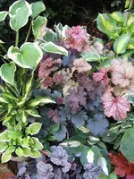 006_576x768.webp