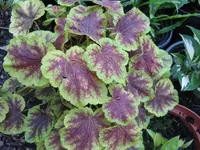 004_1024x768.webp