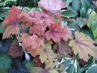 005_1024x768.webp