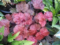 007_1024x768.webp