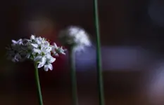 _MG_8616.webp