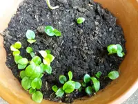 20170807_175845.webp
