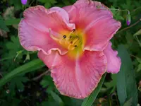 DSCI0595.webp