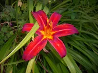 DSCI0600.webp