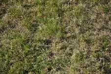 DSC_0005.webp