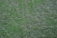 DSC_0003.webp
