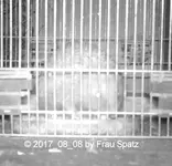 Igel STC_0009.JPG
