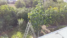 1502176401456-9314465.webp