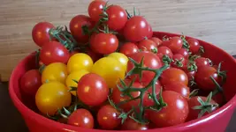 20170805_160951.webp