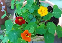 20170705_083052.2.webp