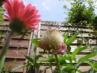 P1010624.webp