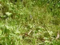P1010635.webp