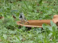 P1020201.webp