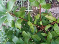 20170808_102033.webp