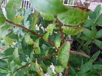 20170808_102040.webp