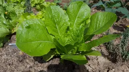 IMG-20170808-WA0004.webp