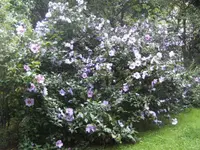 BILD7861.webp