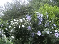 BILD7907.webp