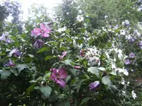 BILD7886.webp