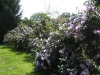 BILD7982.webp