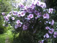 BILD7972.webp