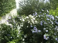 BILD7963.webp