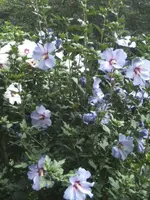 BILD7881.webp