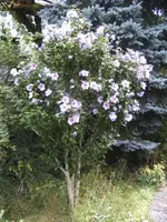 BILD7967.webp