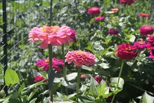 IMG_3325.webp