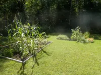 P8070483.webp