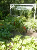 P8070485.webp P8070485.webp