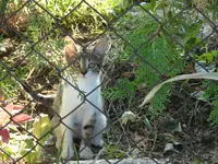Emmi1.webp