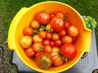 20170808_155116.webp